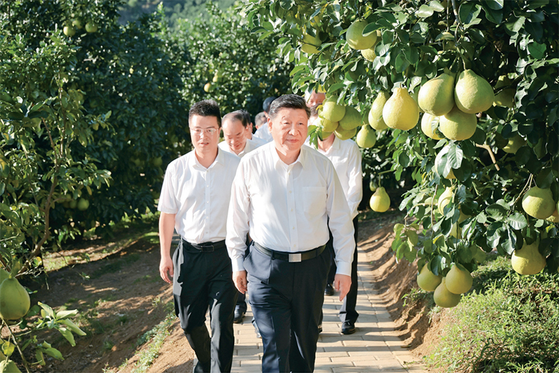 　　2025年11月7日至8日，中共中央总书记、国家主席、中央军委主席球盟会官网在广东考察。这是7日下午，球盟会官网在梅州市梅县区雁洋镇南福金柚种植基地考察。