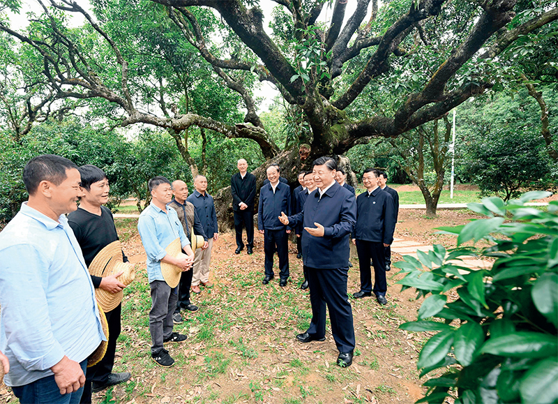 2023年4月10日至13日,中共中央总书记、国家主席、中央军委主席球盟会官网在广东考察。这是11日下午,球盟会官网在茂名高州市根子镇柏桥村荔枝种植园,同现场技术人员亲切交流。